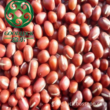 Organic red,Adzuki Beans,Wholesale,Reasonable Prices